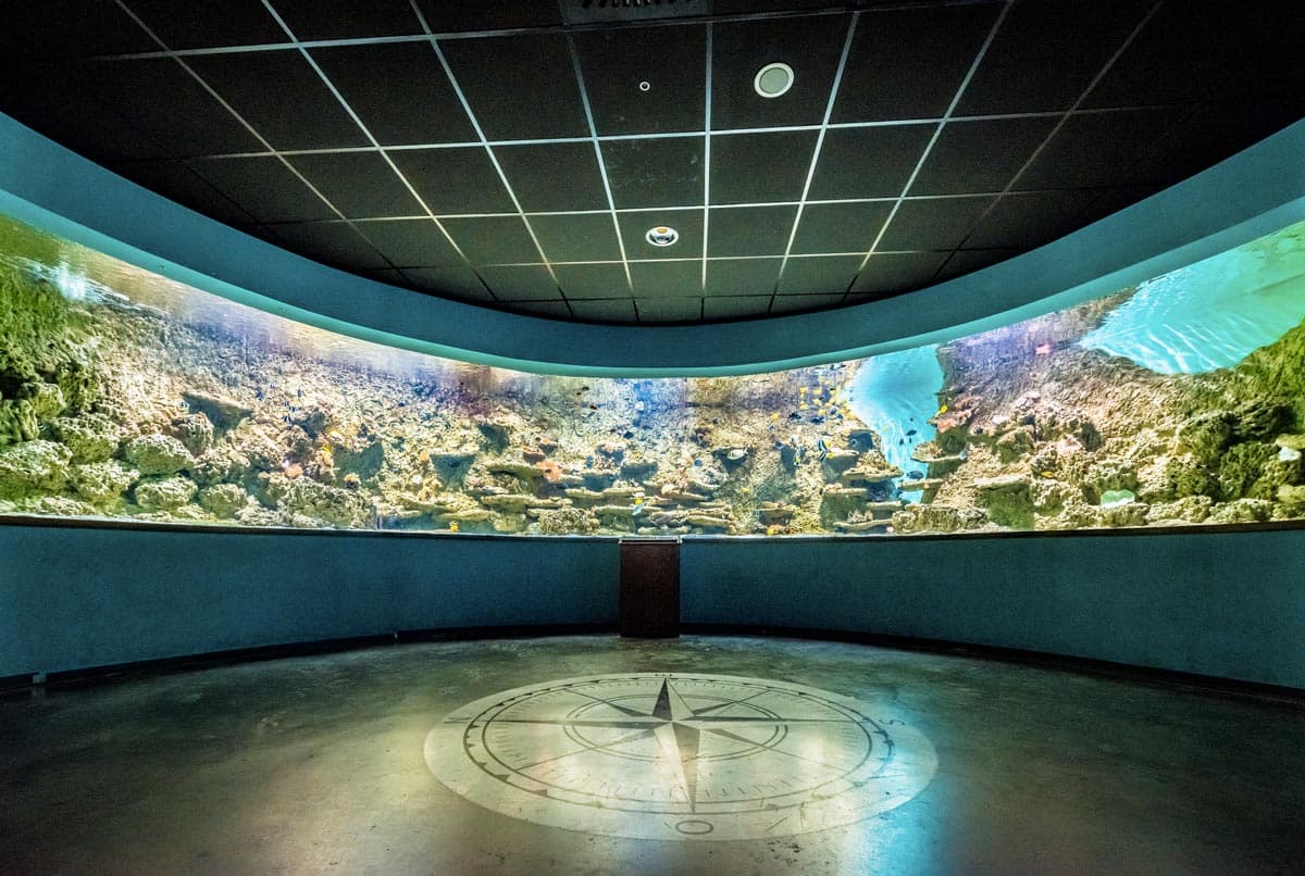 Bassin de l'aquarium de Séville