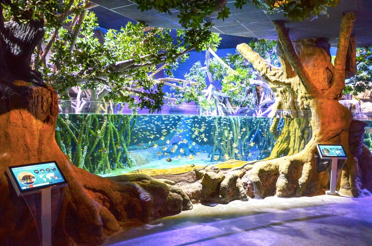 Acuario de Sevilla - Aquarium de Séville