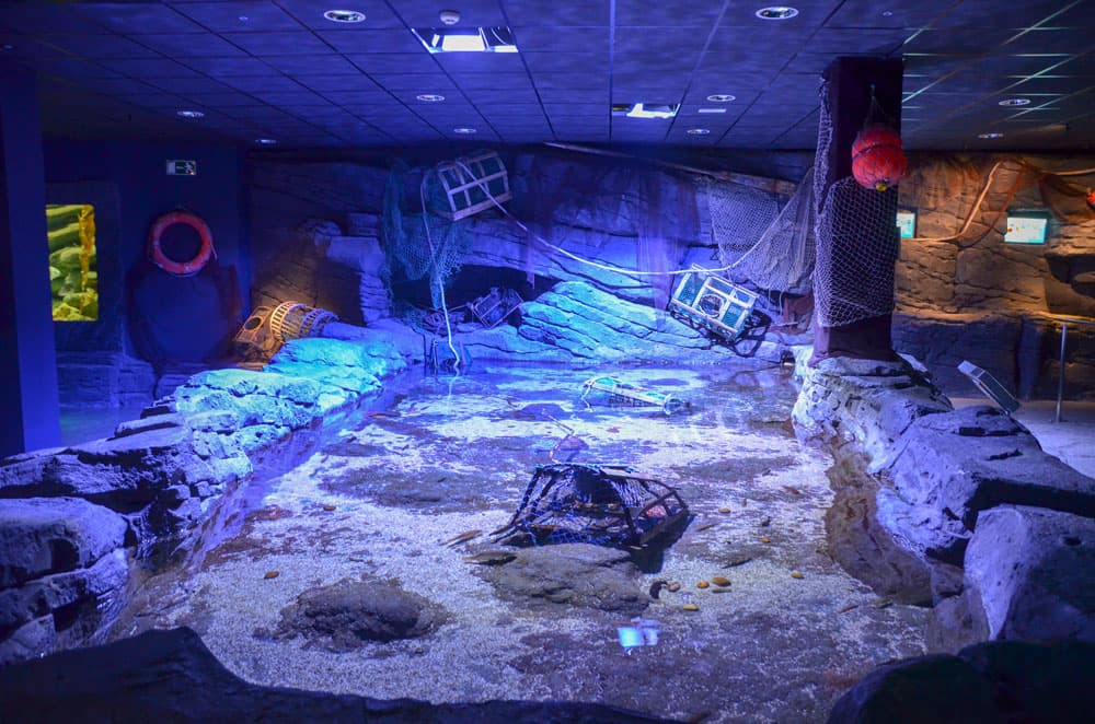 Bassin dans l'aquarium de Séville