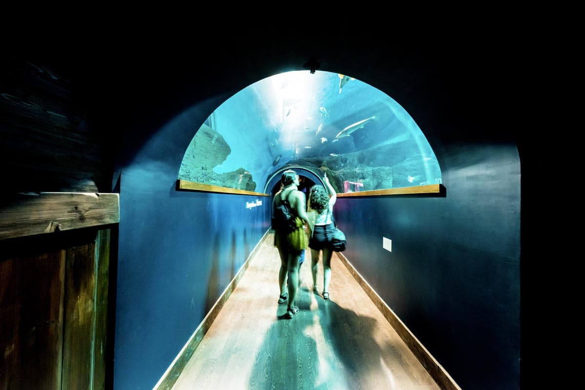 Tunnel dans l'aquarium de Séville